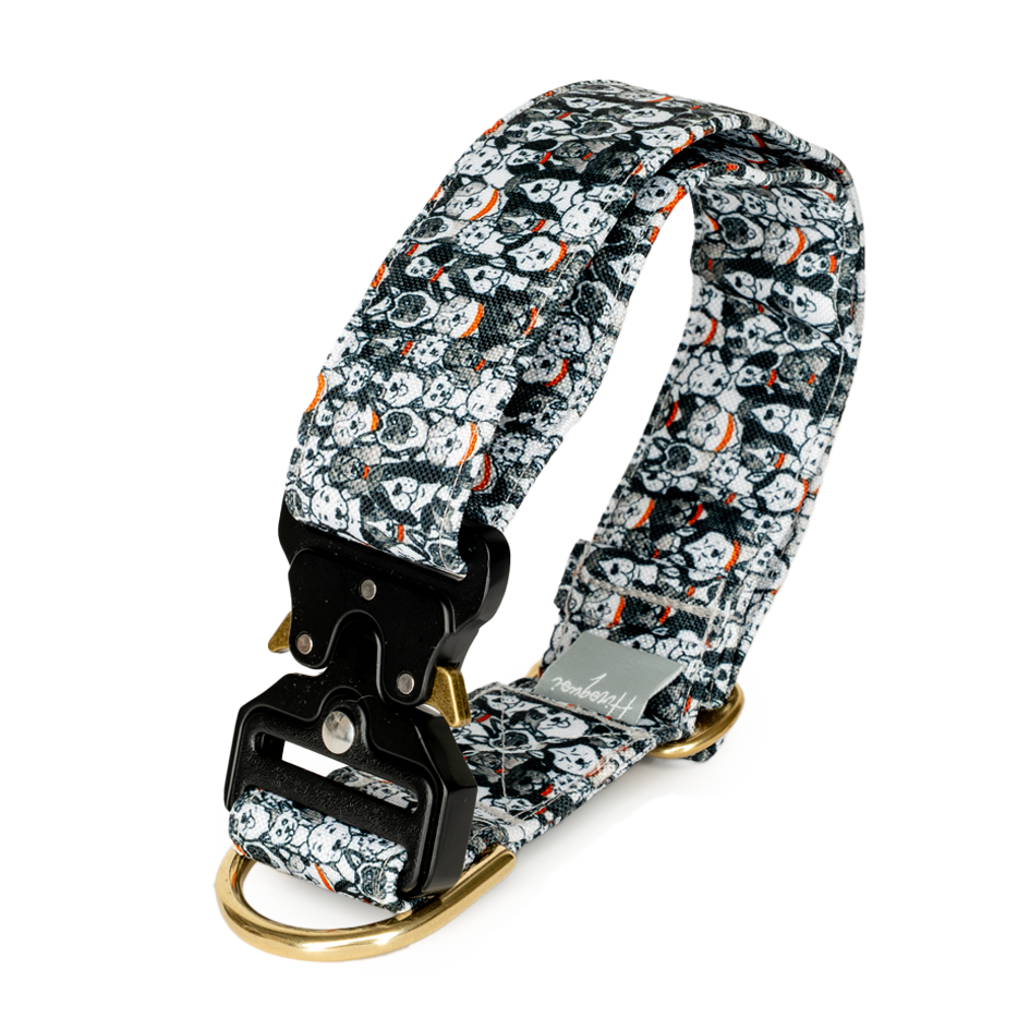 Collier SANS COLLIER