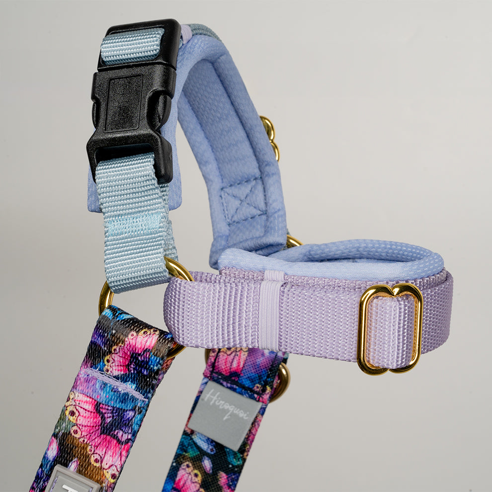 Harnais bleu/lila