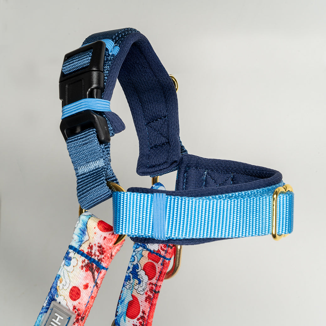 Harnais bleu foncé/bleu clair